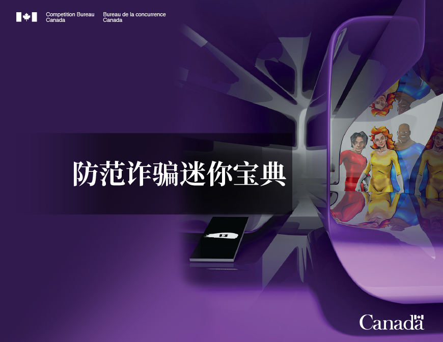 The Little Black Book of Scams 2nd edition in Chinese Simplified