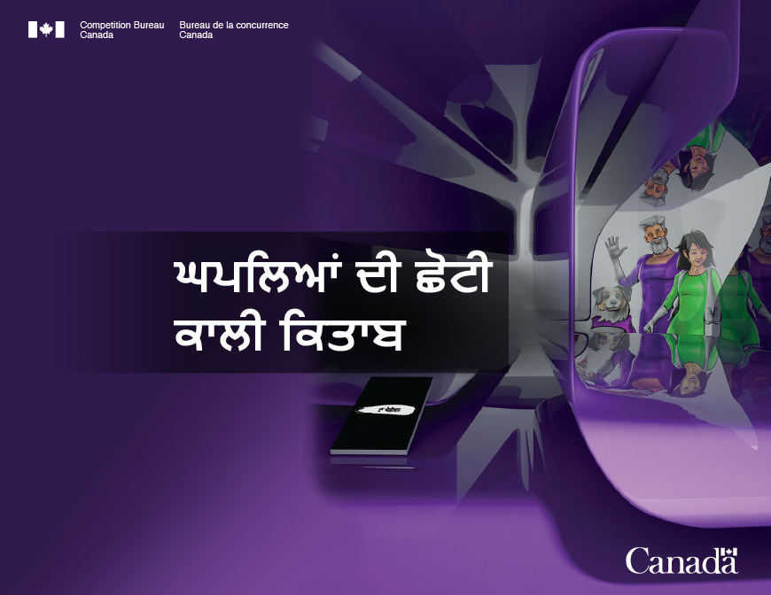 The Little Black Book of Scams 2nd edition in Punjabi