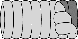 Sleeping bag.